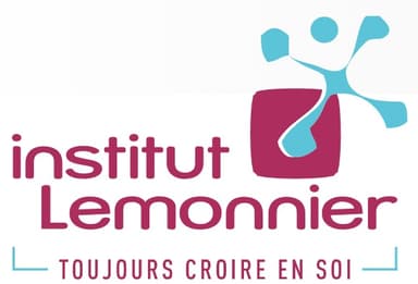 Bac STI2D SIN, mention Européenne - Institut Lemonnier